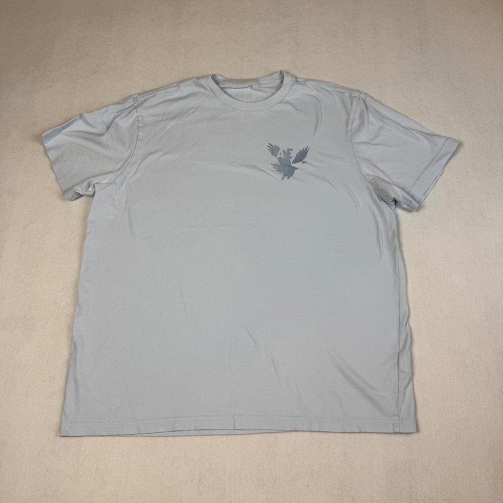American Eagle Outfitters light blue t-shirt with eagle graphic, size L